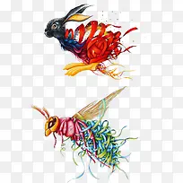 兔子蝗虫-空若网 兔子蝗虫-空若网