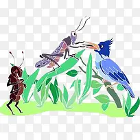 昆虫素材-空若网 昆虫素材-空若网