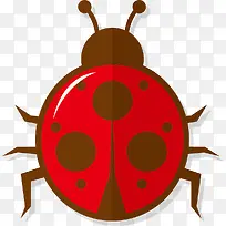 圆形反光矢量卡通甲壳虫标本-空若网 圆形反光矢量卡通甲壳虫标本-空若网