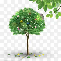 ��������-������