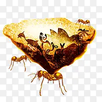 ���Ͼ���-������