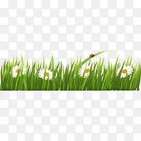 С�ݴ���-������