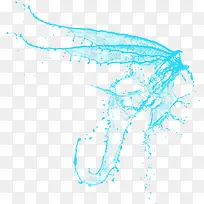 水花翅膀-空若网 水花翅膀-空若网