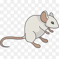 ��ͨ����PNG����-������