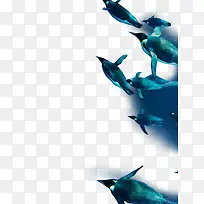 海底动物-空若网 海底动物-空若网