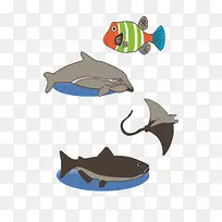 海洋动物-空若网 海洋动物-空若网