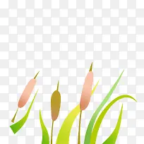 春天踏青背景小草-空若网 春天踏青背景小草-空若网