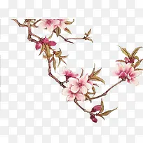 手绘桃花树枝-空若网 手绘桃花树枝-空若网