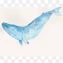 蓝鲸水彩画艺术水彩画蓝色-空若网 蓝鲸水彩画艺术水彩画蓝色-空若网