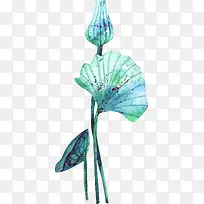 矢量手绘插画荷叶-空若网 矢量手绘插画荷叶-空若网