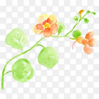 水彩美丽花枝俏-空若网 水彩美丽花枝俏-空若网