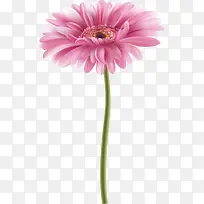 ˮ�ʻ��ʻ�ʸ��-������