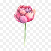 水彩荷花-空若网 水彩荷花-空若网