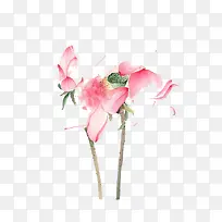 ˮ�ʺɻ�-������