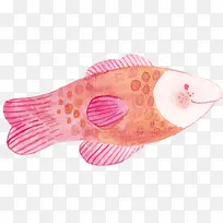 水彩小鱼-空若网 水彩小鱼-空若网
