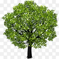 �ߴ����-������