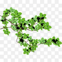 手绘绿色树枝-空若网 手绘绿色树枝-空若网