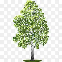 枝繁叶茂的矢量树-空若网 枝繁叶茂的矢量树-空若网