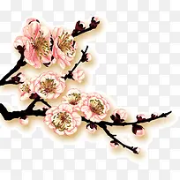 Ë®²Ê»ÌÒ»¨-¿ÕÈôÍø Ë®²Ê»ÌÒ»¨-¿ÕÈôÍø