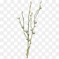 ϸ֦Ãâ¿ÙËØ²Ä-¿ÕÈôÍø ϸ֦Ãâ¿ÙËØ²Ä-¿ÕÈôÍø