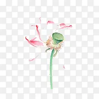 水彩荷花-空若网 水彩荷花-空若网