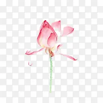 水彩荷花-空若网 水彩荷花-空若网
