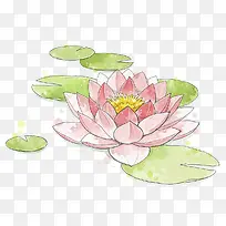 荷花水彩画-空若网 荷花水彩画-空若网