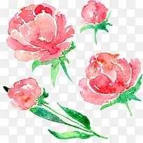 ˮ�ʻ���-������