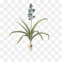 ˮ���ֻ�����-������