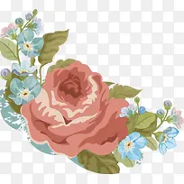 矢量手绘康乃馨水彩画5-空若网 矢量手绘康乃馨水彩画5-空若网