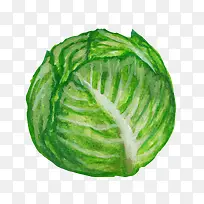 彩绘白菜-空若网 彩绘白菜-空若网