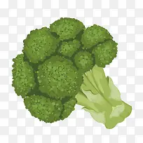 手绘西兰花-空若网 手绘西兰花-空若网