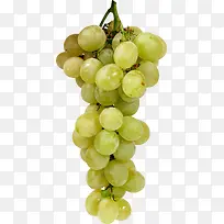 食物剪影手绘水果-空若网 食物剪影手绘水果-空若网