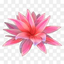 ˮ�ʻ���-������