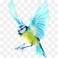 动物元素手绘动物素材 展翅的鸟-空若网 动物元素手绘动物素材 展翅的鸟-空若网