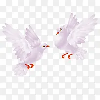 ��ͨ�����زĿ�ͨ����-������