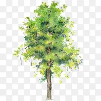 ¿¨Í¨Ê÷Ä¾ËØ²ÄÊ÷ľ±³¾°-¿ÕÈôÍø ¿¨Í¨Ê÷Ä¾ËØ²ÄÊ÷ľ±³¾°-¿ÕÈôÍø