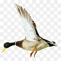 ��ͨ�����زĿ�ͨ�����ز�-������