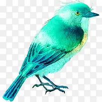 手绘动物图片虫鸟图片 水彩小鸟-空若网 手绘动物图片虫鸟图片 水彩小鸟-空若网