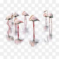 手绘动物元素动物图片-空若网 手绘动物元素动物图片-空若网