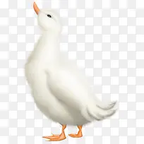 卡通动物图片手绘动物-空若网 卡通动物图片手绘动物-空若网