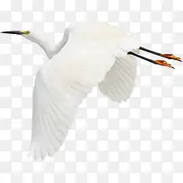 �ֻ涯��ͼƬ�ֻ����-������