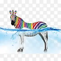 水中彩色斑马-空若网 水中彩色斑马-空若网