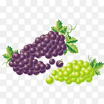 水果青葡萄紫葡萄ai下载-空若网 水果青葡萄紫葡萄ai下载-空若网