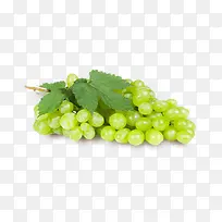 新鲜水果青葡萄-空若网 新鲜水果青葡萄-空若网