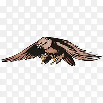 չ����ӥ-������