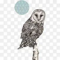 ����վ����֦�ϵ�èͷӥ-������