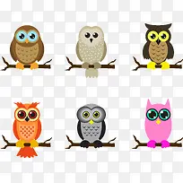 6��ͣ����֦�ϵ�èͷӥʸ��ͼ-������