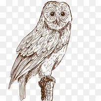 矢量猫头鹰-空若网 矢量猫头鹰-空若网