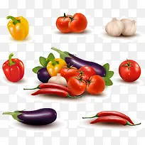 十一款新鲜蔬菜设计矢量图-空若网 十一款新鲜蔬菜设计矢量图-空若网